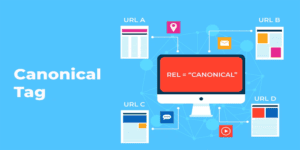 Canonical URLs